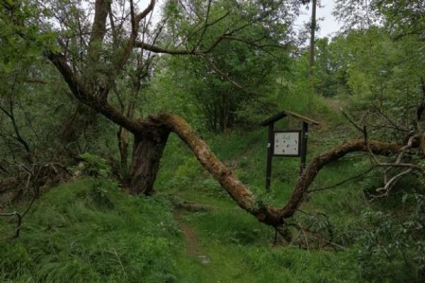 Kalamita na hornické stezce (21.05.2022)